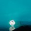 The Life Equation