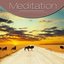 Meditation Vol. Brown