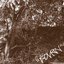 Greatsouth