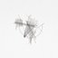ceb/form
