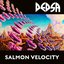 Salmon Velocity