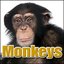 Monkeys: Sound Effects