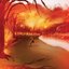 Everything Burns