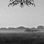 Ukrainian Morning Misanthropy