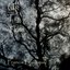 Up To Tree