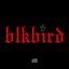 BlkBird