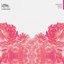 Plusteblume