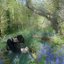 Tales of Faebles wood