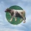 Flat Circle [Explicit]