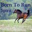 Born To Run