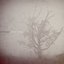 Ghost Notes