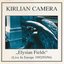 Elysian Fields (Live In Europe 1992-93-94)