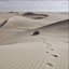 Desert