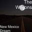 New Mexico Dream