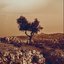 Cadejos + Those Who Pass Between Fleeting Words (Remastered 2025)