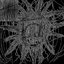 Demo II - The Listless Clawing