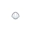Seashells