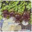 Egotrip / Hatemouth - Single