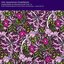 Teargarden By Kaleidyscope, Vol. II: The Solstice Bare Disc 1