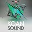 Kill Everybody (KOAN Sound Remix)