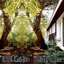 Lost Garden