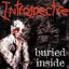 Buried Inside
