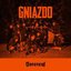 Gniazdo