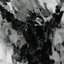 Message From The Black Sun Constellation