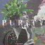 Purity