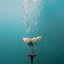 Drown