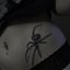 Sem aliança no dedo, Tatuagem da aranha