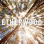 Etherwood - Etherwood (19 Tracks) [2013]
