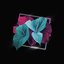 Anthurium - Single