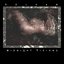 Midnight Visions