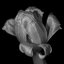 No Rush - Single