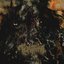 Longing Voracity