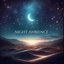 Night Ambience