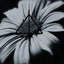Graven