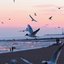 Oceanside