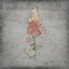 Into Ash - Single