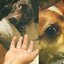 SAME DOG [Explicit]