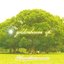 GOLDENBAUM ep.