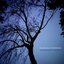 Evanescent Echoes