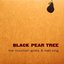 Black Pear Tree