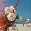 Song Goes On (feat. Coyle Girelli) - Single