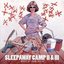 Sleepaway Camp II & III