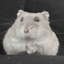 Avatar for zenbunn