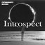 Introspect