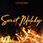 Sweet Melody (PS1 Remix) - Single