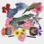 Pipe Dream [Explicit]